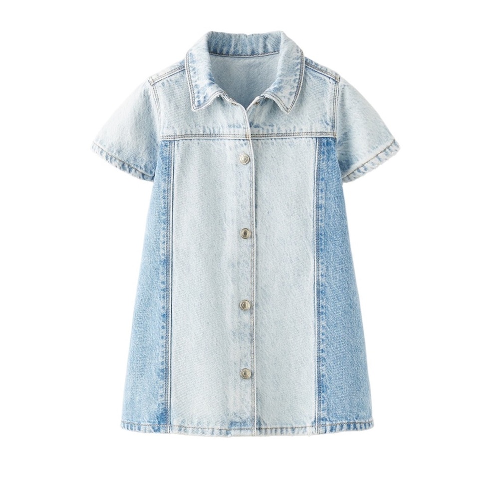 Zara Denim Dress Toddler